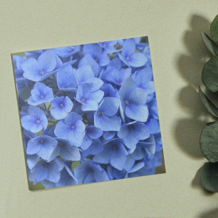 Pretty Blue Hydrangea Bloom Floral Ceramic Tile