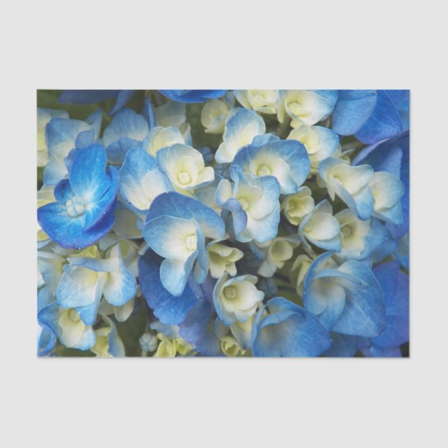 Pretty Blue Hydrangea Floral Tissue Paper (Front)