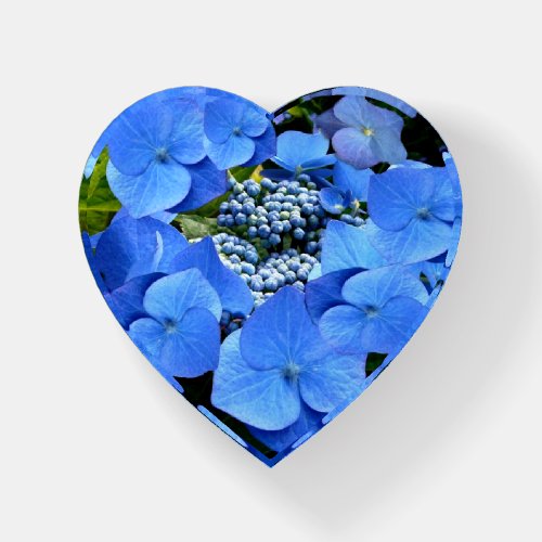 Pretty Blue Hydrangea Heart Paperweight