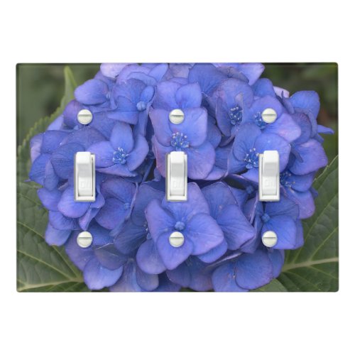 Pretty Blue Hydrangea Light Switch Cover