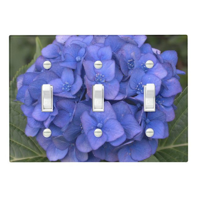 Pretty Blue Hydrangea Light Switch Cover (In Situ)