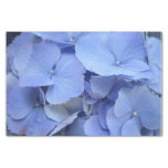 Pretty Blue Hydrangea Tissue Paper