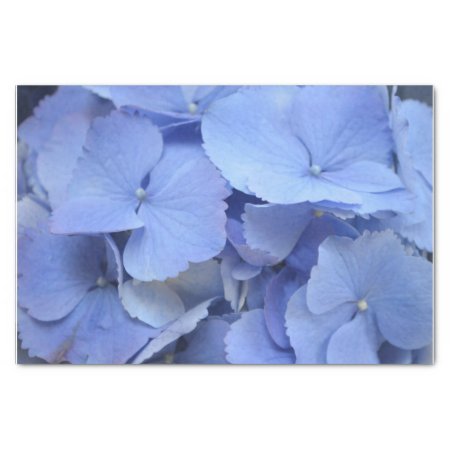 Pretty Blue Hydrangea Tissue Paper