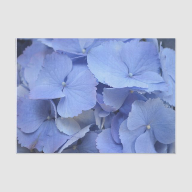 Pretty Blue Hydrangea Tissue Paper (Front)