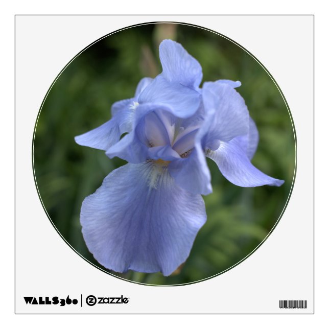 Pretty Blue Iris Floral Wall Decal (Front)