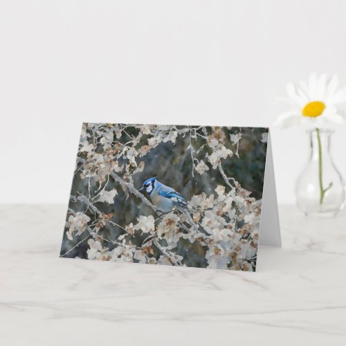 Pretty Blue Jay Bird Art Note Card