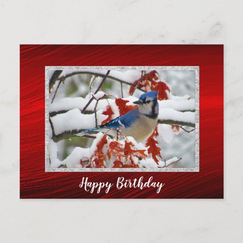 Pretty Blue Jay Snow Photo Birthday Postcard