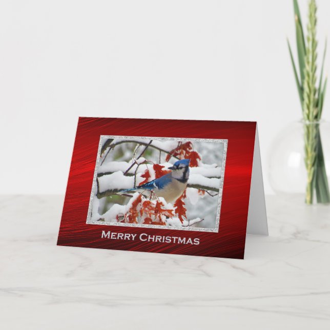 Pretty Blue Jay Snow Photo Christmas Holiday Card (Front)