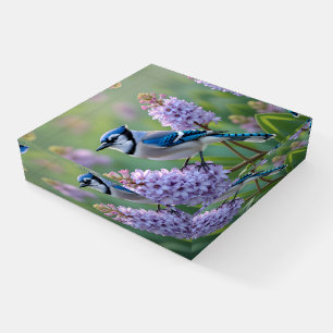 Pretty Blue Jay Standing on Lilac Branches Paperweight