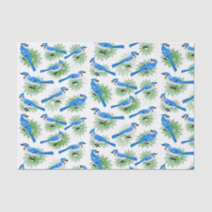 Pretty Blue Jays in Pine Tree unique birds Tissue Paper