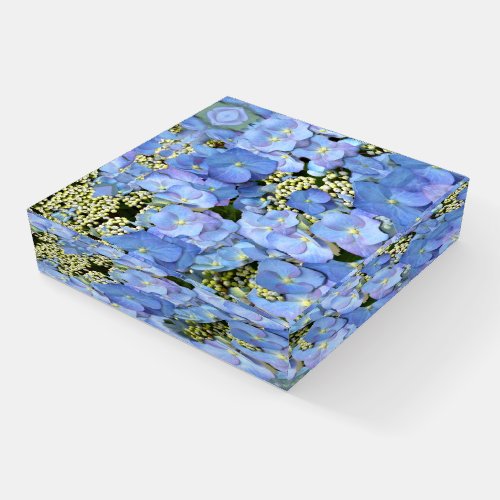 Pretty Blue Lacecap Hydrangea Paperweight