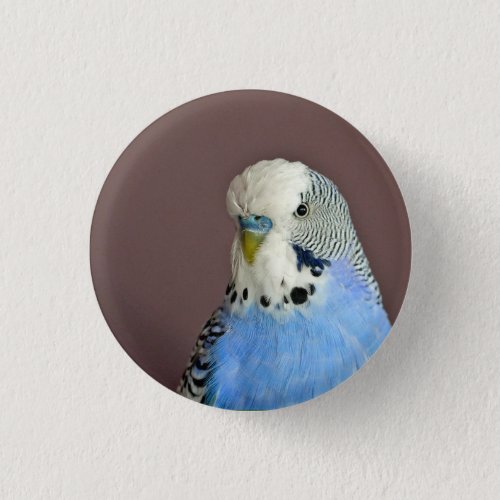 Pretty Blue Parakeet Photo Button
