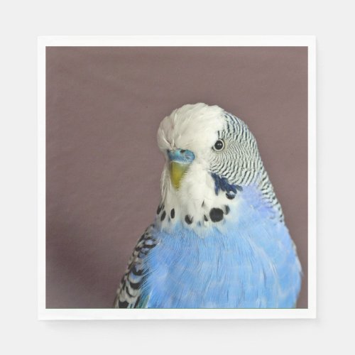 Pretty Blue Parakeet Photo Napkins