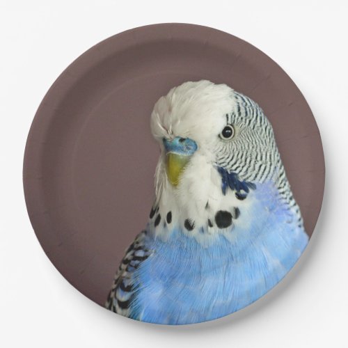 Pretty Blue Parakeet Photo Paper Plates