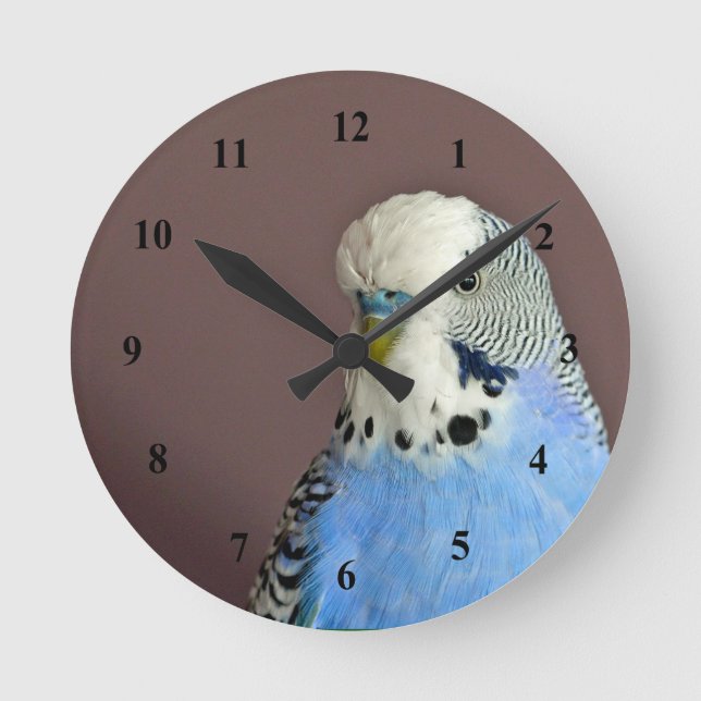 Pretty Blue Parakeet Photo Round Clock (Front)