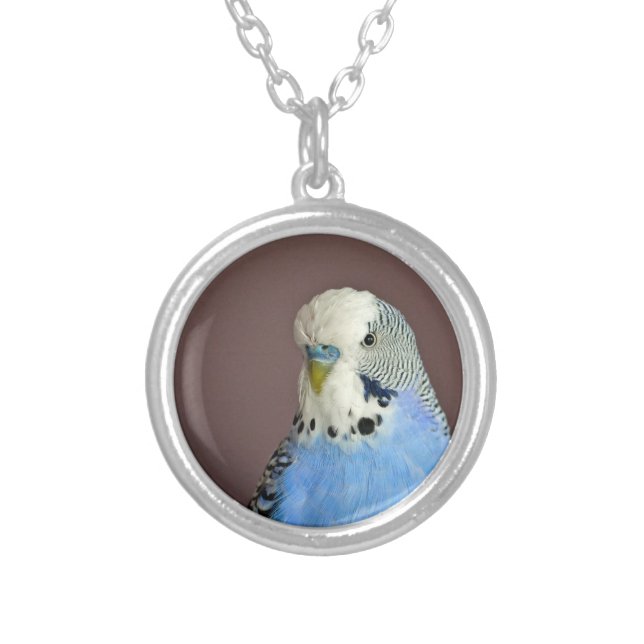Pretty Blue Parakeet Photo Silver Plated Necklace (Front)