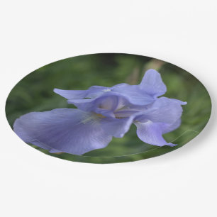 Pretty Blue Periwinkle Iris Flower Paper Plates