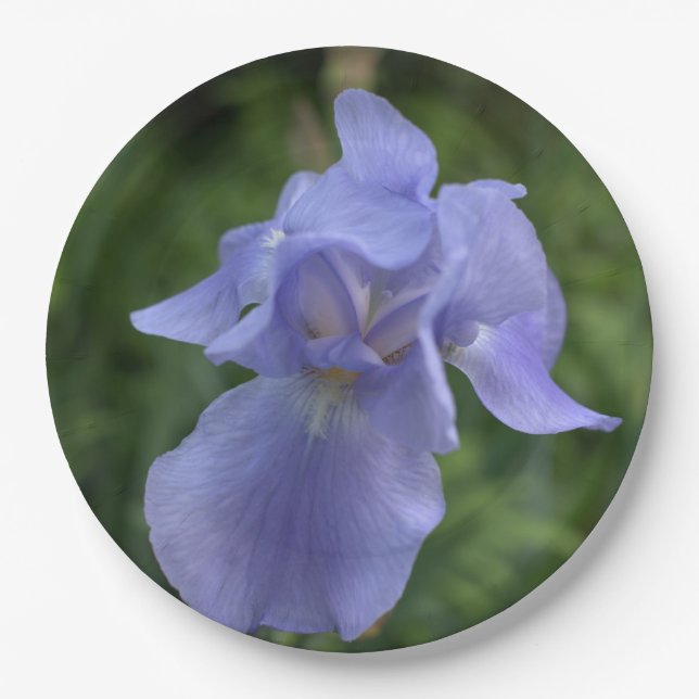 Pretty Blue Periwinkle Iris Flower Paper Plates (Front)