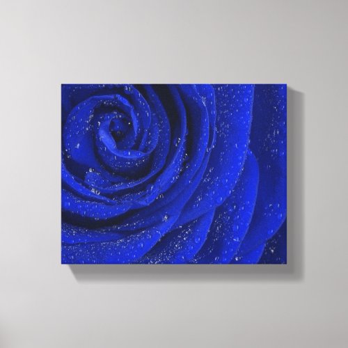 Pretty blue rose flower in the morning canvas print