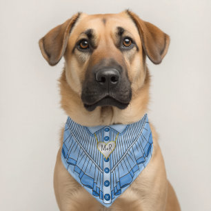 Pretty Blue Ruffled Dress Custom Locket Monogram Pet Bandana Collar