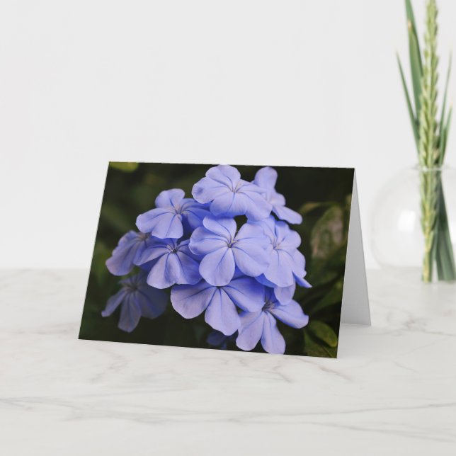 Pretty Blue Tropical Flowers Note Card (Front)