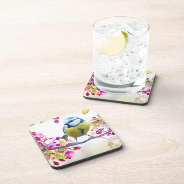 Pretty Blue & Yellow Bird on a Branch Photograph Beverage Coaster (Right Side)