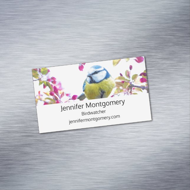 Pretty Blue & Yellow Bird on a Branch Photograph Business Card Magnet (In Situ)