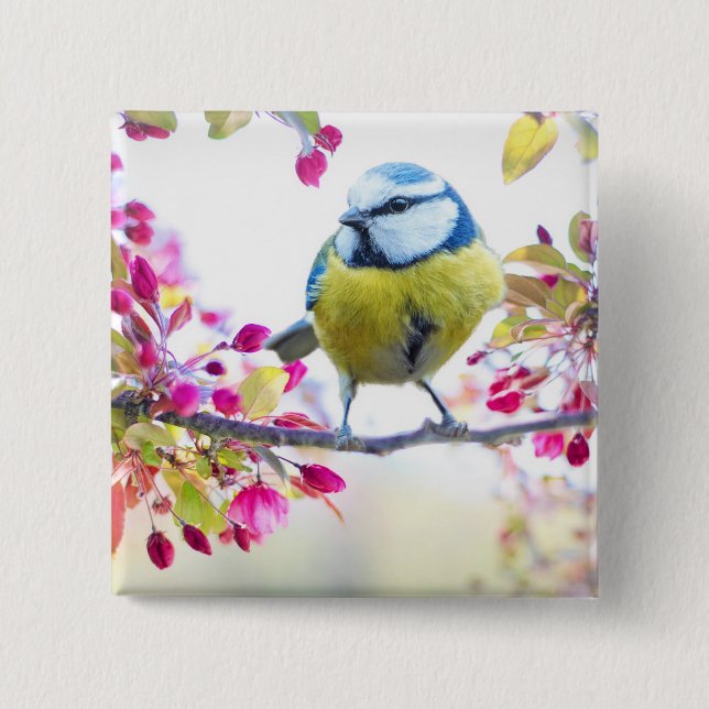 Pretty Blue & Yellow Bird on a Branch Photograph Button (Front)