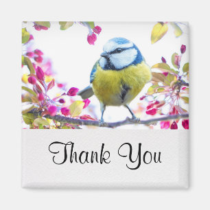 Pretty Blue & Yellow Bird on a Branch Photograph Magnet