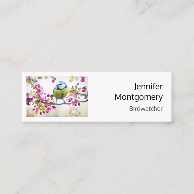Pretty Blue & Yellow Bird on a Branch Photograph Mini Business Card (Front)