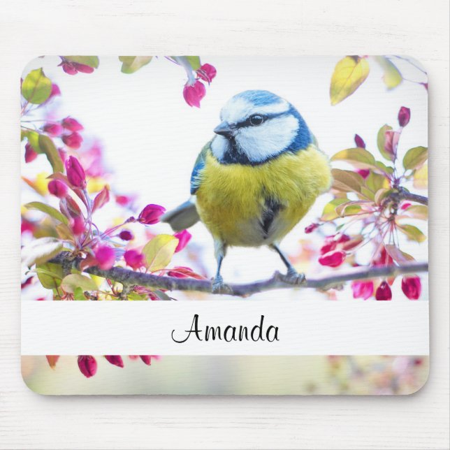 Pretty Blue & Yellow Bird on a Branch Photograph Mouse Pad (Front)