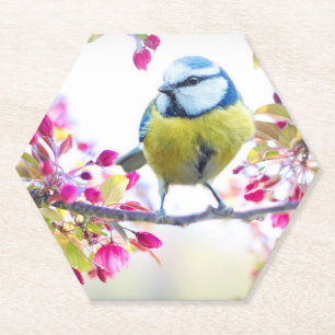 Pretty Blue & Yellow Bird on a Branch Photograph Paper Coaster