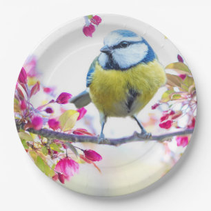 Pretty Blue & Yellow Bird on a Branch Photograph Paper Plates