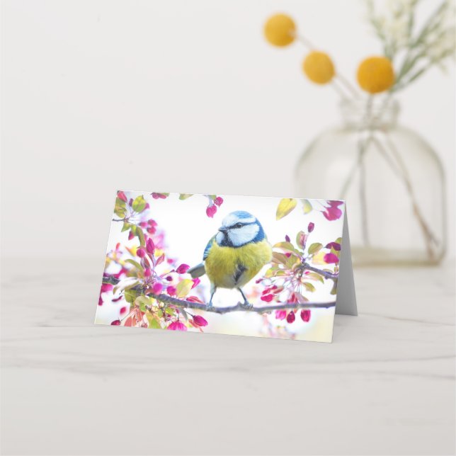 Pretty Blue & Yellow Bird on a Branch Photograph Place Card (Front)