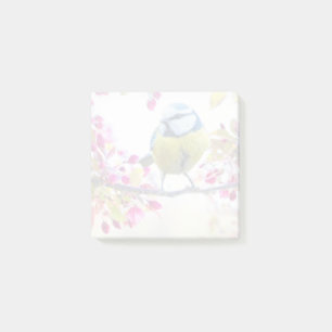 Pretty Blue & Yellow Bird on a Branch Photograph Post-it Notes