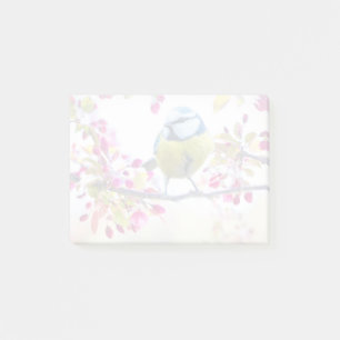 Pretty Blue & Yellow Bird on a Branch Photograph Post-it Notes