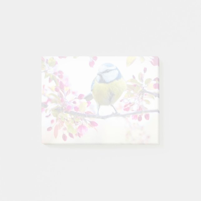 Pretty Blue & Yellow Bird on a Branch Photograph Post-it Notes (Front)