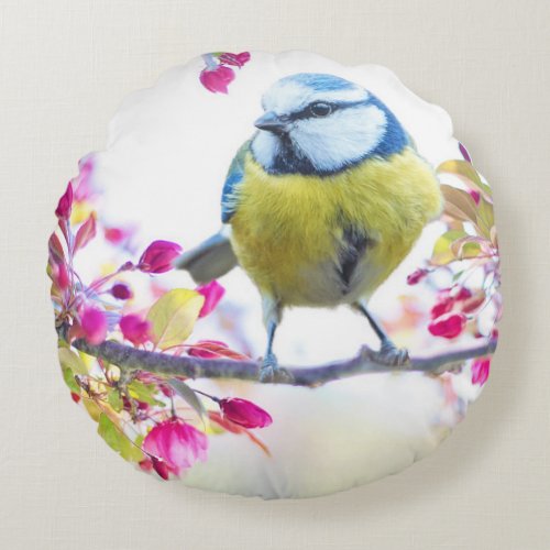 Pretty Blue  Yellow Bird on a Branch Photograph Round Pillow