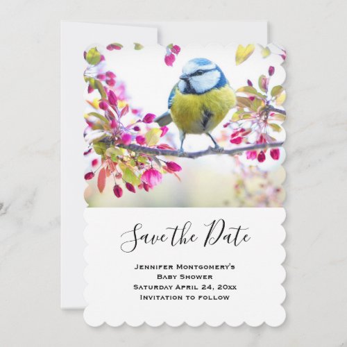 Pretty Blue  Yellow Bird on a Branch Photograph Save The Date