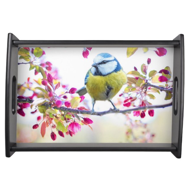 Pretty Blue & Yellow Bird on a Branch Photograph Serving Tray (Front)