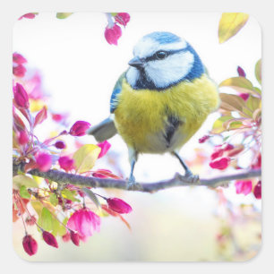 Pretty Blue & Yellow Bird on a Branch Photograph Square Sticker