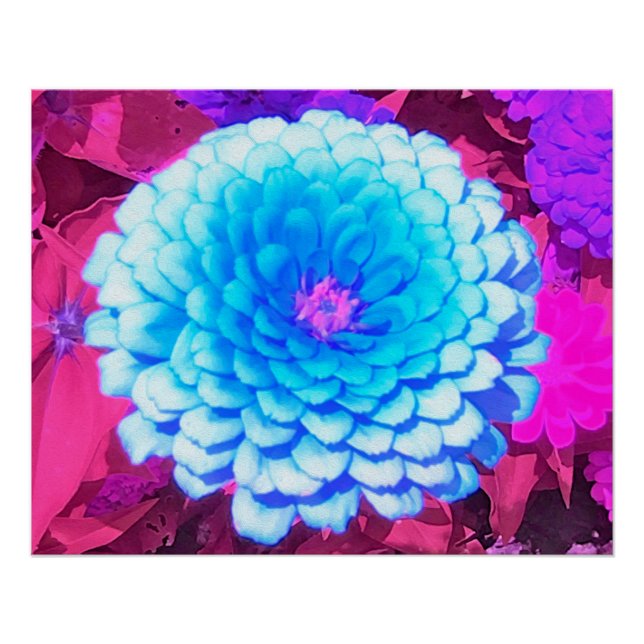Pretty Blue Zinnia in the Purple Summer Garden Poster (Front)