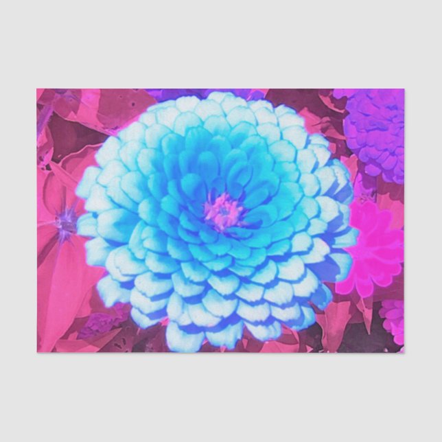 Pretty Blue Zinnia in the Purple Summer Garden Tissue Paper (Front)