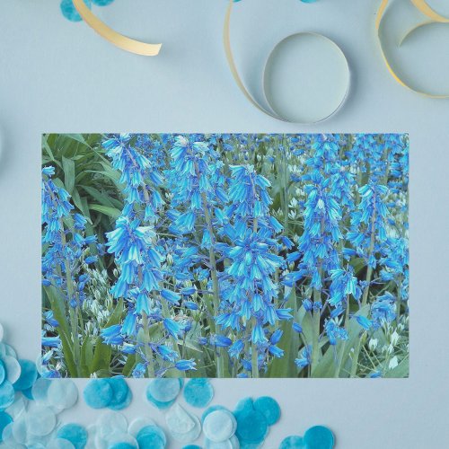 Pretty Bluebell Flowers Floral Tissue Paper