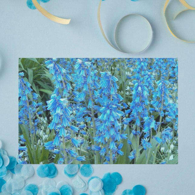 Pretty Bluebell Flowers Floral Tissue Paper (In Situ)