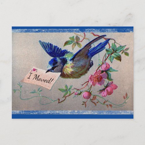 Pretty Bluebird I Moved Postcard