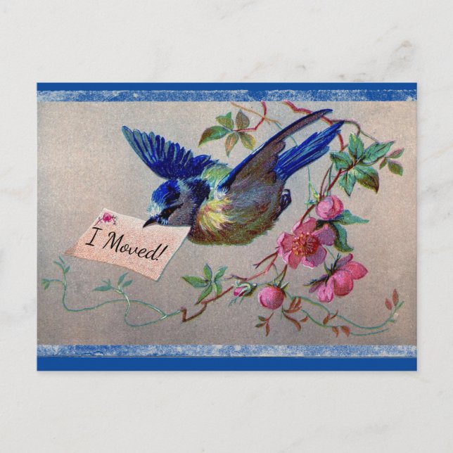 Pretty Bluebird I Moved Postcard (Front)