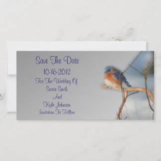 Pretty Bluebird Wedding  Save The Date