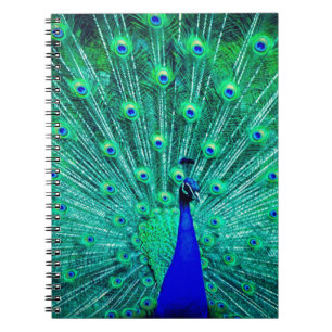 Pretty BlueTeal Peacock bird Modern trendy pattern Notebook