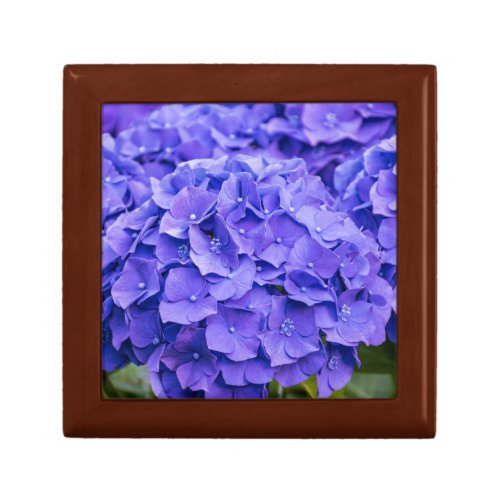 Pretty Bluish Purple Summer Hydrangeas Gift Box